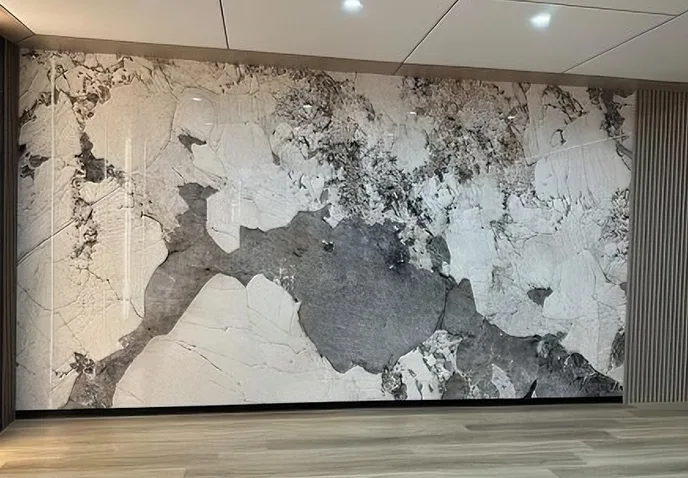 Réamhrá don Phainéal Balla Frithsheasmhach in Tionchar.